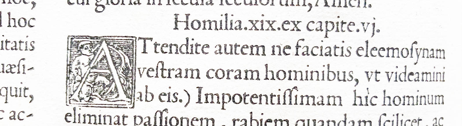 Antiquariat Lohmann